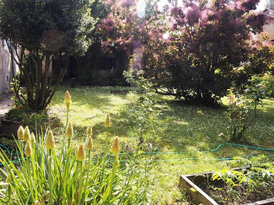 Bed and Breakfast Le 7 Des Tonneliers Castelfranc Esterno foto